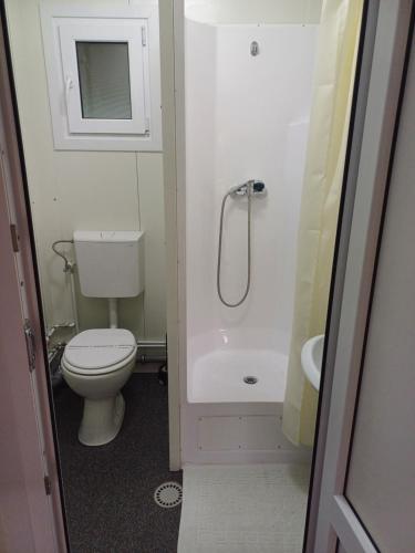a small bathroom with a toilet and a shower at Monica și Tibo in Sfântu Gheorghe
