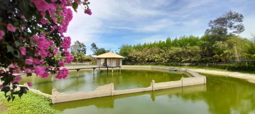 einen Teich mit einem Pavillon und rosa Blumen in der Unterkunft TINA LAKESIDE AO ĐÔI Homestay Phước Hải in Hội Mỹ