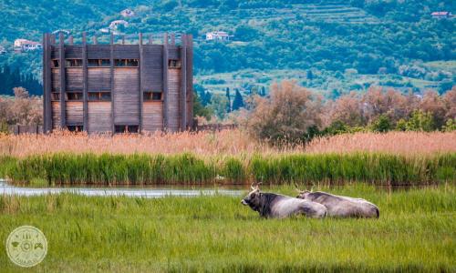 Φυσικό τοπίο κοντά σε αυτό το διαμέρισμα