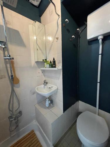 une salle de bain avec une douche, des toilettes et un lavabo dans l'établissement Confiserie de la Fontaine, à Saint-Quay-Portrieux