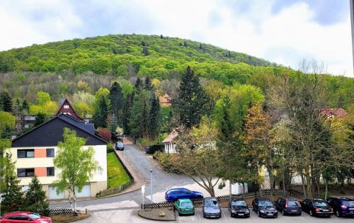 een berg met auto's geparkeerd op een parkeerplaats bij Komfortwohnung "Domizil Kenia" in Bad Harzburg