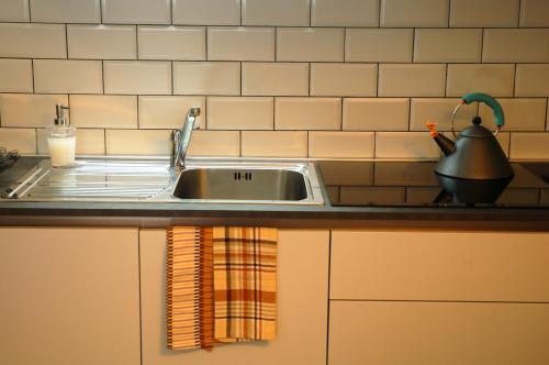 eine Küchenspüle mit Wasserkocher in der Unterkunft Magione 10 in Siena