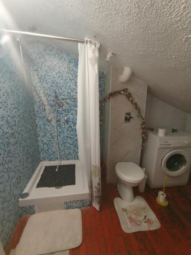 uma casa de banho com um chuveiro, um WC e um lavatório. em CASA VACANZA LA MANSARDINA em Pavia