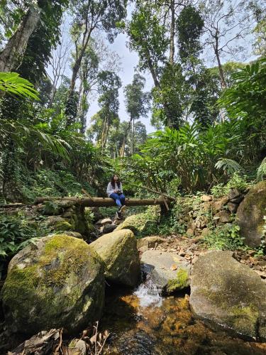 a person sitting on a log over a stream at Hidden Valley Wayanad in Meppādi