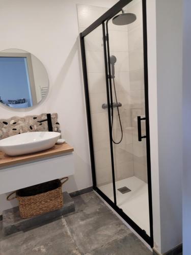une salle de bain avec une douche avec un lavabo et un miroir dans l'établissement Gîte au pied du mont ventoux, à Bédoin