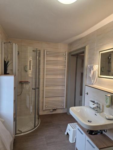 a white bathroom with a shower and a sink at Villa Caggiati in Bad Schandau