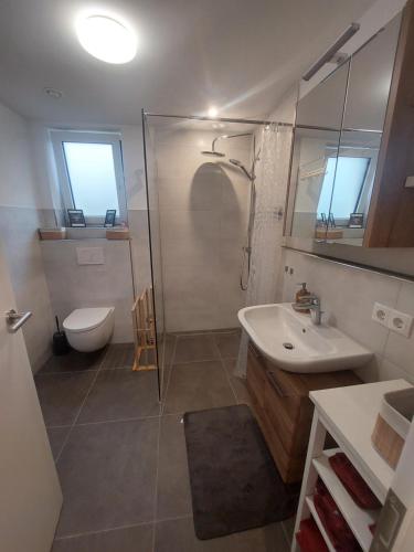 uma casa de banho com um chuveiro, um lavatório e um WC. em Wyhler Kunterbunt em Wyhl