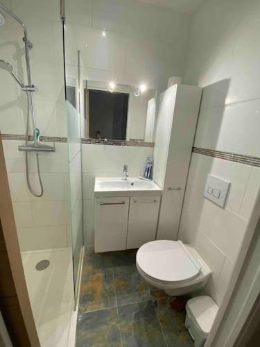 une salle de bain avec toilettes, lavabo et douche dans l'établissement LE COQUELICOT - centre ville, à Cahors