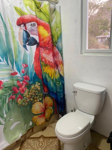 a parrot shower curtain in a bathroom with a toilet at Cool Breeze Suites in Union Island