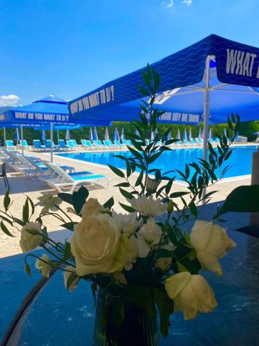 Gallery image of Mema Resort in Tirana
