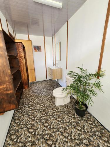 a bathroom with a toilet and a potted plant at Moanaiti Lodge in Maheva