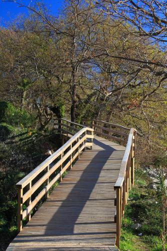 a wooden bridge over a path in a park at Villa Covelo in Poio