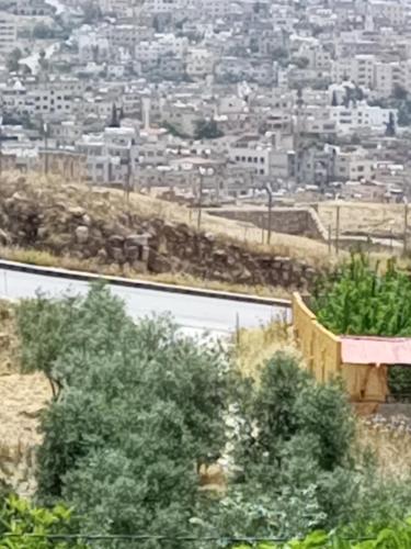 a view of a city from a hill at Jarash in Jerash