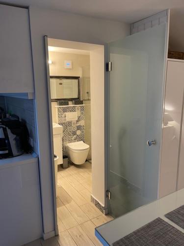 ein Badezimmer mit einem WC und einer Glastür in der Unterkunft Studio Apartment Laura in Punat