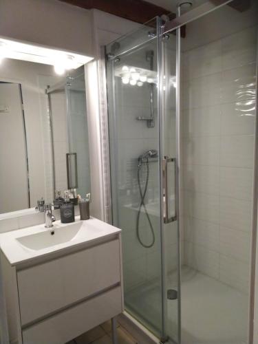 une salle de bain avec une douche en verre et un lavabo dans l'établissement le studio de Monta, à Vendays-Montalivet