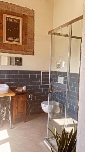 a bathroom with a glass shower and a toilet at La Casa Stregatta in Sassetta