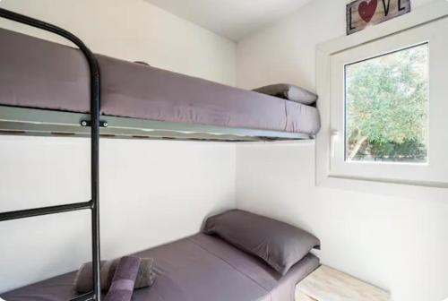 Cette chambre comprend 2 lits superposés et une fenêtre. dans l'établissement Apartamento en Bolonia, à Bolonia