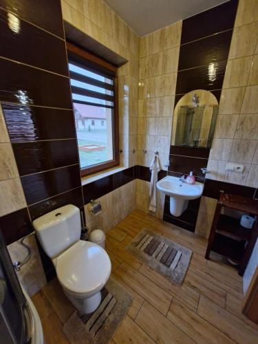 a bathroom with a toilet and a sink at Żwirowa Góra - Domki nad Narwią in Tykocin