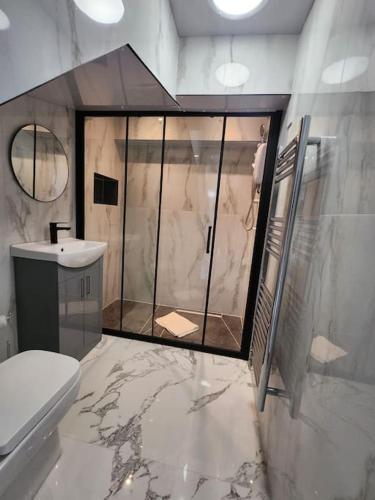 a bathroom with a shower and a toilet and a sink at Spacious and bright one bedroom apartment in Oxford