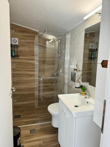 a bathroom with a toilet and a sink and a shower at Milena's Luxury Villa in Iraklitsa