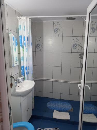 een kleine badkamer met een wastafel en een douche bij Casa Tulceanu in Sulina