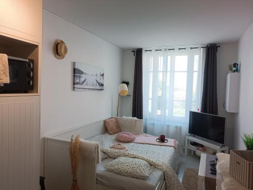 un salon avec un canapé et une télévision dans l'établissement Le petit nid de Katia 1, à Bernières-sur-Mer