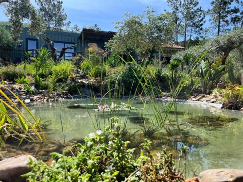 a garden with a pond of water with plants at Casa Oliva - Casa do Lago in Porto de Mós