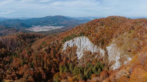 an aerial view of a mountain with trees at Rooms Centar in Delnice