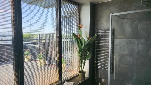 a bathroom with a large window with a plant at Artisa Riia Str 22 Luxury Penthouse Apartment in Tartu