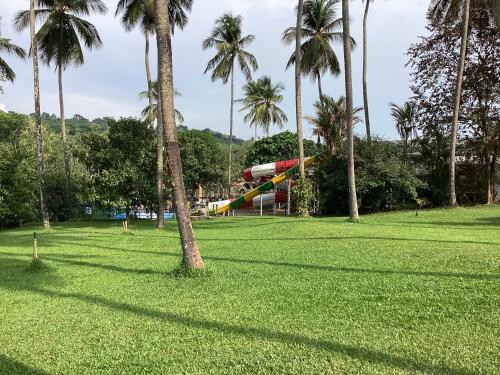 Jardín al aire libre en Teak Town