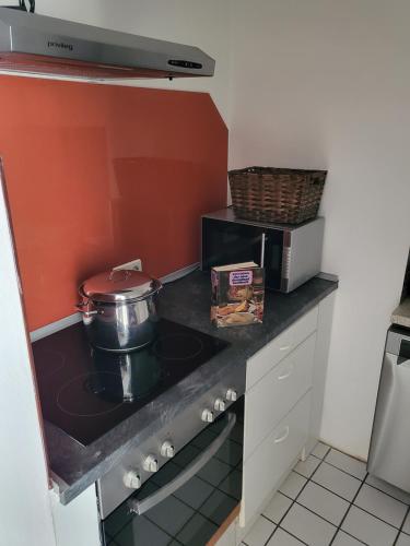 a kitchen with a stove with a pot on it at Appartement Purzel in Mauerbach