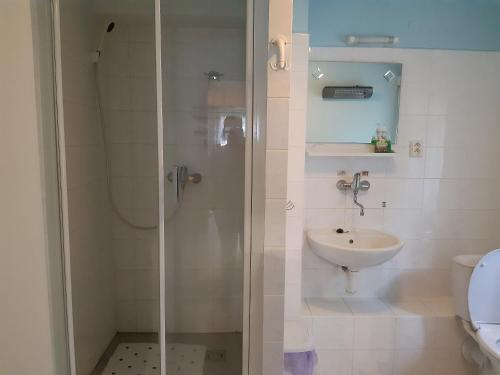 een badkamer met een douche, een wastafel en een toilet bij Chata Rynartice 7 in Jetřichovice