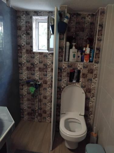 a bathroom with a toilet and a window at Kriopigi Garden in Kriopigi