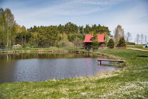 a small lake with a cabin in the background at Agroturystyka Letnisko - Michał in Stara Kiszewa