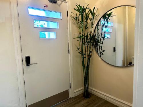 un pasillo con espejo y una planta al lado de una puerta en 9-A Diamond in Yonkers, NY, en Yonkers