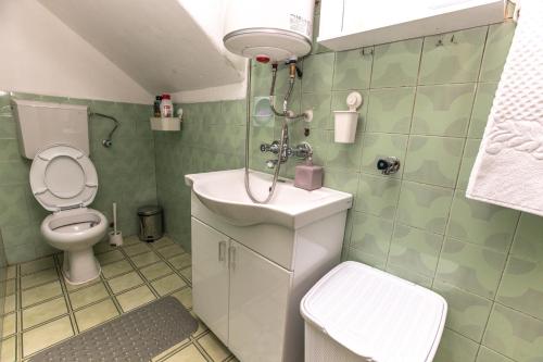 a small bathroom with a toilet and a sink at Apartmani Bulevar in Cetinje