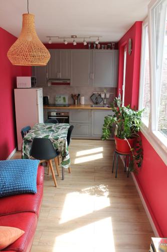 ブザンソンにあるAPPARTEMENT CENTRE HISTORIQUEの赤い壁のキッチン(赤いソファ付)