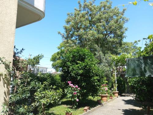 a garden outside a house with trees and flowers at Serenity's Sunset Terrace in Shkodër