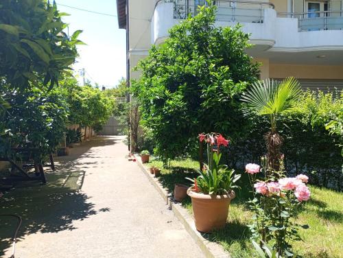 a garden with potted plants and flowers on a sidewalk at Serenity's Sunset Terrace in Shkodër