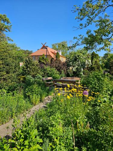 a garden with yellow flowers and a windmill in the background at Nidos Rojus in Nida