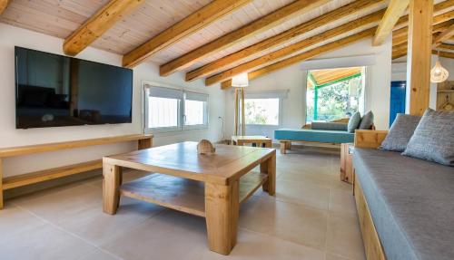 TV a/nebo společenská místnost v ubytování RODON TRIPITI NEST EXSECUTIVE SUITE APARTMENT
