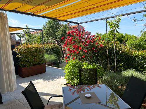 Pretty little thing called Teranino