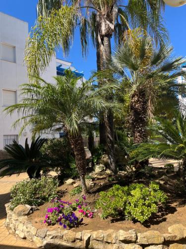 Apartamento en Costa Ballena, Urb. Playa Ballena