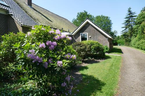 a house with purple flowers next to a road at Vakantiewoning 't Stookhok Gasselte in Gasselte