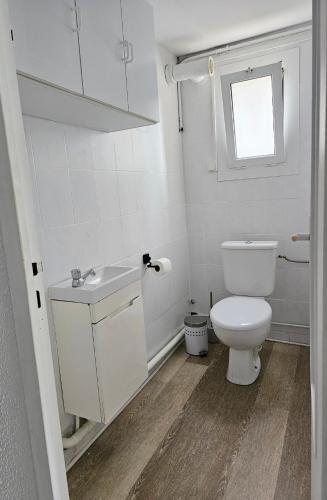 une salle de bain blanche avec toilettes et fenêtre dans l'établissement Appartement lumineux et calme en rez-de-jardin, à Castanet-Tolosan