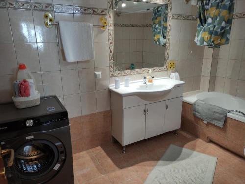 Un baño con lavabo y lavadora. en Capital Apartment Iraklitsa, en Nea Iraklitsa