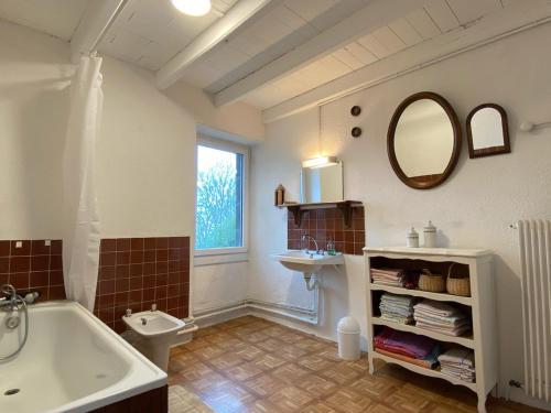 une salle de bain avec une baignoire, un lavabo et un miroir dans l'établissement Au coeur des volcans, à Ceyssat