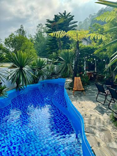 a blue pool in a yard with chairs and trees at Love House Homestay SAPA in Sa Pa