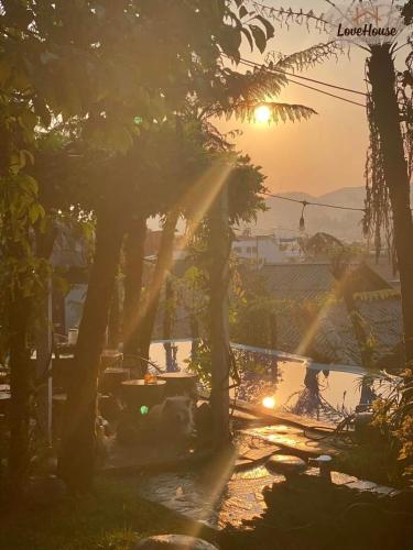 a group of trees with a sunset in the background at Love House Homestay SAPA in Sa Pa