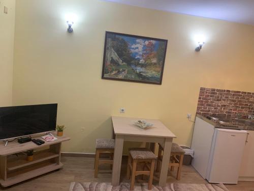 Il comprend un salon avec une table et une télévision. dans l'établissement Garsonjera Dunja, à Novi Sad